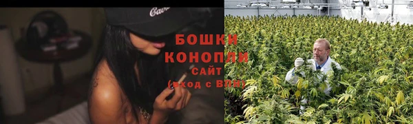 крисы Ладушкин