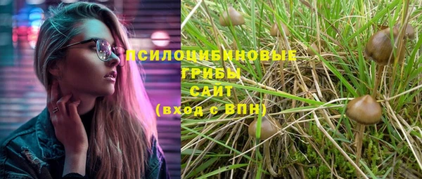 стафф Лабытнанги