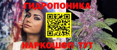 прущие грибы Заводоуковск
