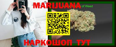 прущие грибы Заводоуковск