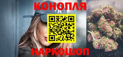 прущие грибы Заводоуковск