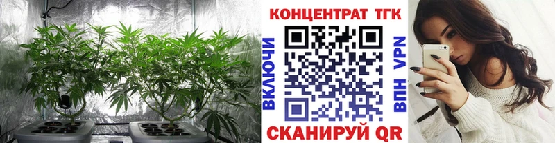 купить   Сорочинск  блэк спрут онион  дарк нет наркотические препараты  Дистиллят ТГК вейп с тгк 