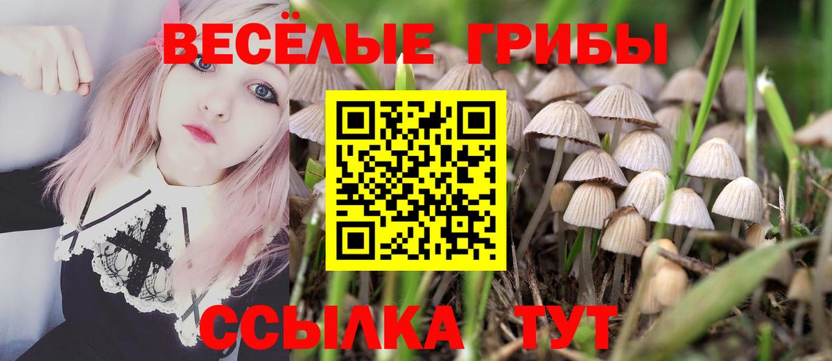 Псилоцибиновые грибы Magic Shrooms  дарнет шоп  Псилоцибиновые грибы прущие грибы  Сорочинск 