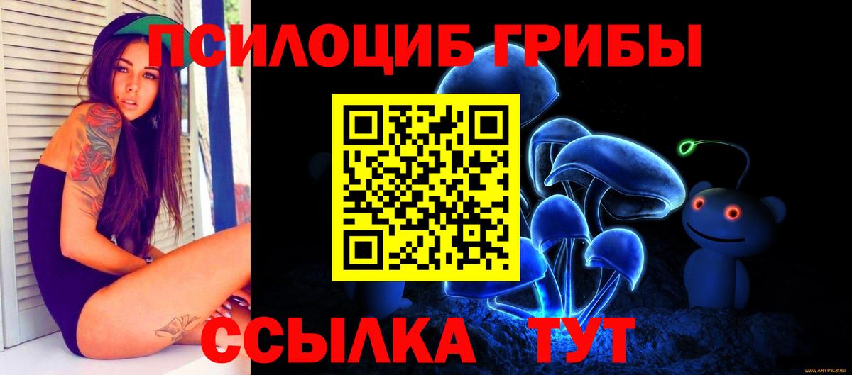 Галлюциногенные грибы прущие грибы Сорочинск