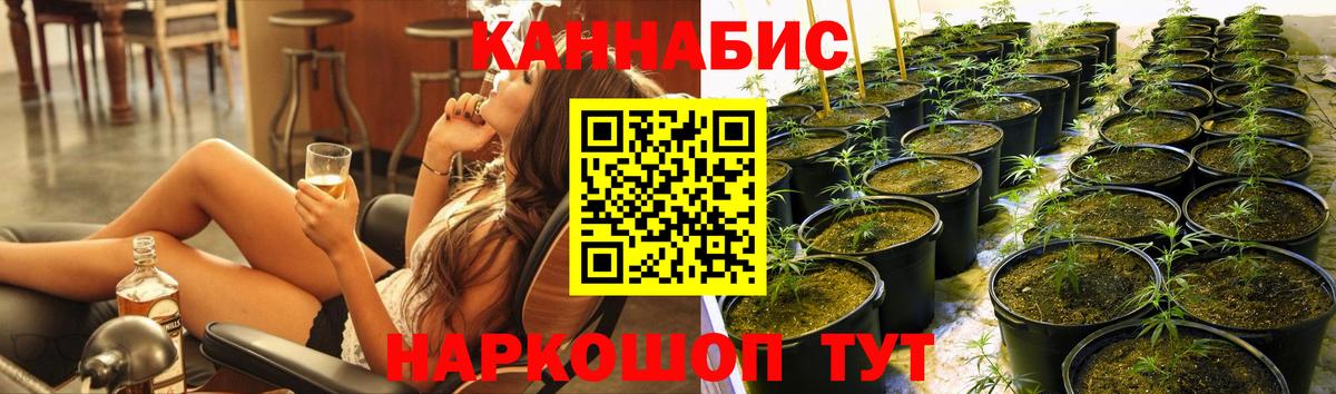 МАРИХУАНА White Widow Сорочинск